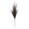 42" Light Brown Pampas Grass Stem by Ashland®